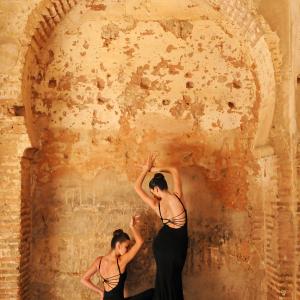 Fotografía de FEX 2011.  Fotos para promoción - Conservatorio de Danza