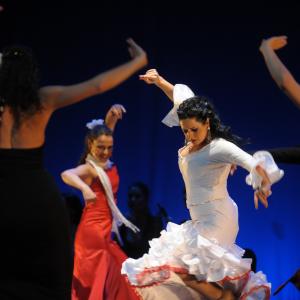 Fotografía de Talleres de danza española - Conservatorio de Danza