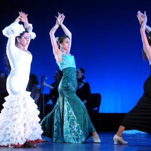 Fotografía de Talleres de danza española - Conservatorio de Danza