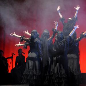 Fotografía de Talleres de danza española - Conservatorio de Danza