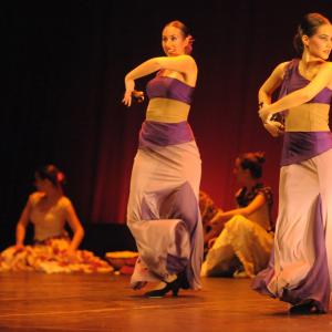 Fotografía de Talleres de danza española - Conservatorio de Danza