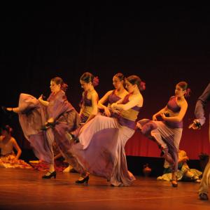 Fotografía de Talleres de danza española - Conservatorio de Danza