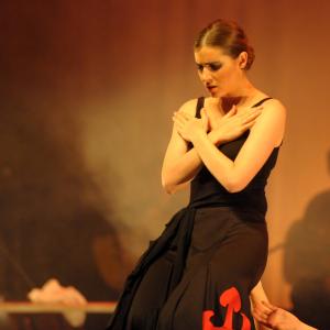 Fotografía de Talleres de baile flamenco - Conservatorio de Danza