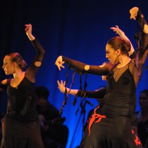 Fotografía de Talleres de baile flamenco - Conservatorio de Danza