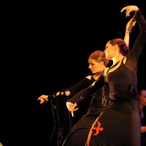 Fotografía de Talleres de baile flamenco - Conservatorio de Danza