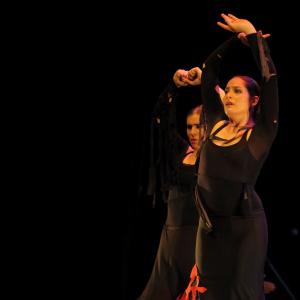 Fotografía de Talleres de baile flamenco - Conservatorio de Danza