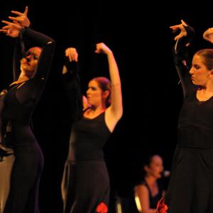 Fotografía de Talleres de baile flamenco - Conservatorio de Danza