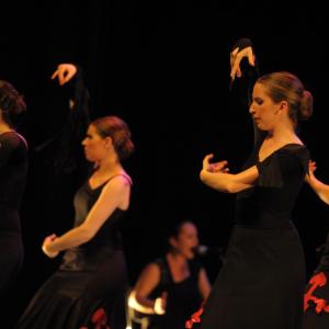 Fotografía de Talleres de baile flamenco - Conservatorio de Danza
