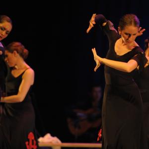 Fotografía de Talleres de baile flamenco - Conservatorio de Danza