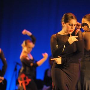 Fotografía de Talleres de baile flamenco - Conservatorio de Danza