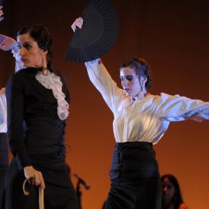 Fotografía de Talleres de baile flamenco - Conservatorio de Danza