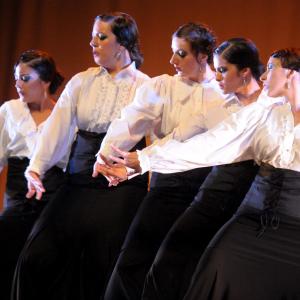 Fotografía de Talleres de baile flamenco - Conservatorio de Danza