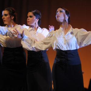 Fotografía de Talleres de baile flamenco - Conservatorio de Danza
