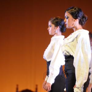 Fotografía de Talleres de baile flamenco - Conservatorio de Danza
