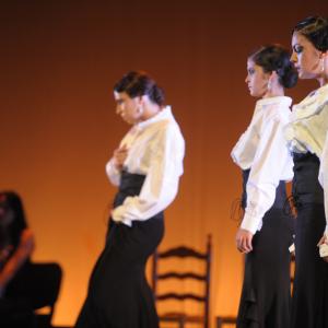 Fotografía de Talleres de baile flamenco - Conservatorio de Danza