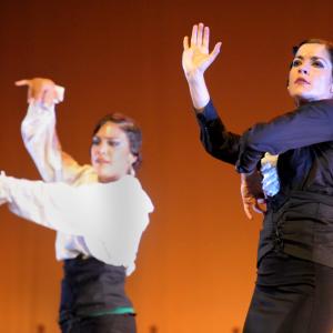 Fotografía de Talleres de baile flamenco - Conservatorio de Danza