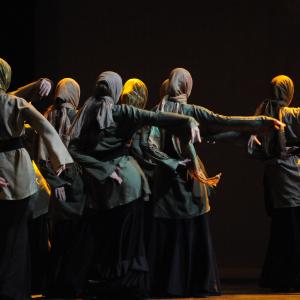 Fotografía de FEX 2011: Alhambra - Conservatorio de Danza