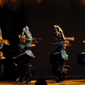 Fotografía de FEX 2011: Alhambra - Conservatorio de Danza