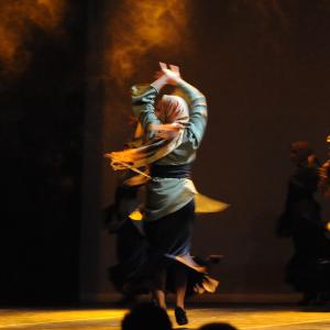 Fotografía de FEX 2011: Alhambra - Conservatorio de Danza