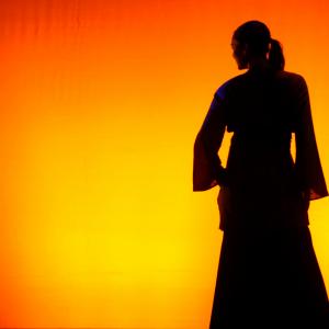 Fotografía de FEX 2011: Alhambra - Conservatorio de Danza