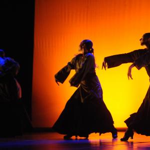 Fotografía de FEX 2011: Alhambra - Conservatorio de Danza