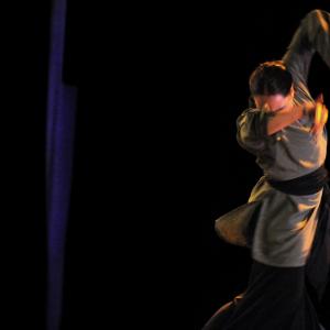 Fotografía de FEX 2011: Alhambra - Conservatorio de Danza