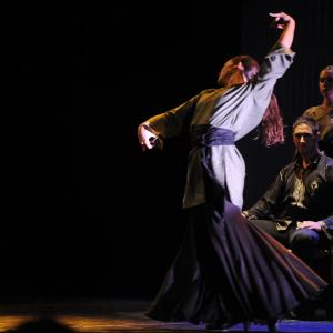 Fotografía de FEX 2011: Alhambra - Conservatorio de Danza