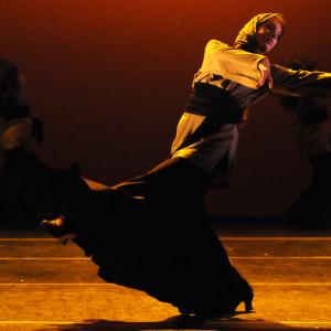 Fotografía de FEX 2011: Alhambra - Conservatorio de Danza