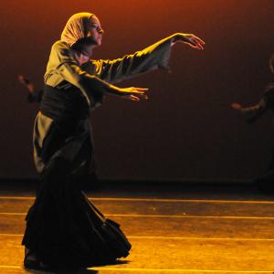 Fotografía de FEX 2011: Alhambra - Conservatorio de Danza
