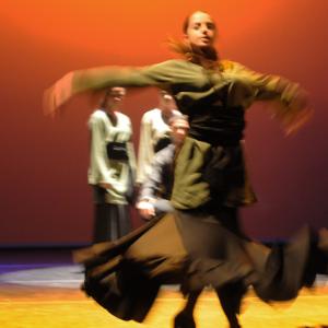 Fotografía de FEX 2011: Alhambra - Conservatorio de Danza