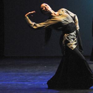 Fotografía de FEX 2011: Alhambra - Conservatorio de Danza