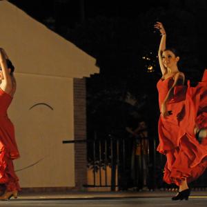 Fotografía de Danzas en las Fiestas de Dílar - 