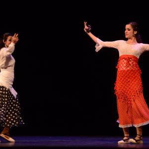 Fotografía de El flamenco es ansi - El Pelito