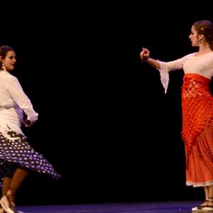 Fotografía de El flamenco es ansi - El Pelito