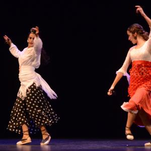 Fotografía de El flamenco es ansi - El Pelito