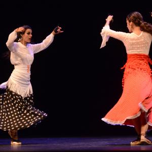 Fotografía de El flamenco es ansi - El Pelito