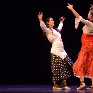 Fotografía de El flamenco es ansi - El Pelito