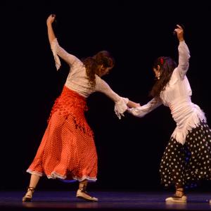Fotografía de El flamenco es ansi - El Pelito