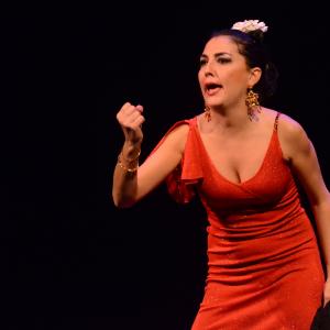 Fotografía de El flamenco es ansi - El Pelito