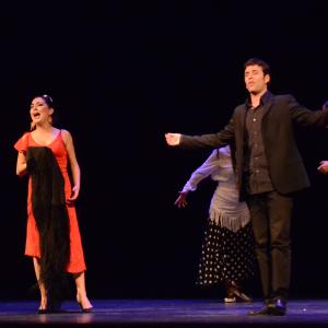 Fotografía de El flamenco es ansi - El Pelito