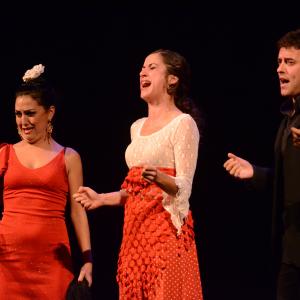 Fotografía de El flamenco es ansi - El Pelito