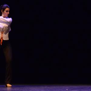 Fotografía de El flamenco es ansi - El Pelito