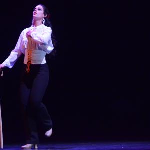 Fotografía de El flamenco es ansi - El Pelito