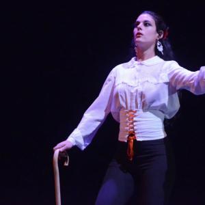 Fotografía de El flamenco es ansi - El Pelito