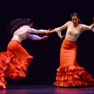 Fotografía de El flamenco es ansi - El Pelito
