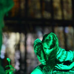 Fotografía de Actuación Día internacional contra la violencia a las mujeres - 