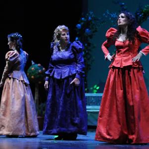 Fotografía de Mucho ruido y pocas nueces - Grupo teatral El Torreón