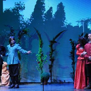 Fotografía de Mucho ruido y pocas nueces - Grupo teatral El Torreón