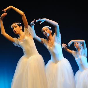 Fotografía de Conservatorio de Danza: Día Internacional de la danza - Conservatorio de Danza