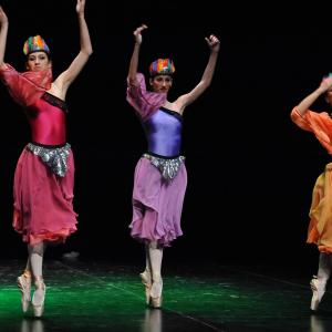 Fotografía de Asociación Tiempo Presente: Arcoiris de estilos - Grupo de Danza Tiempo Presente